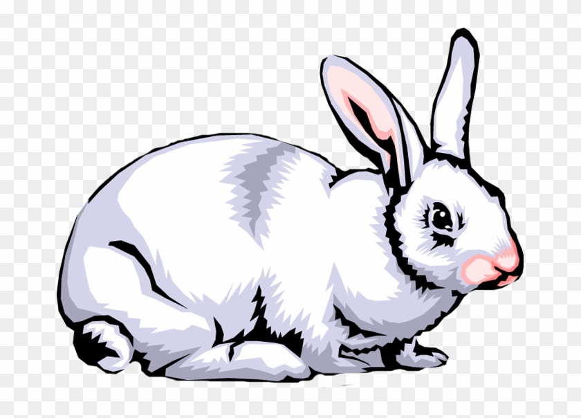 Rabbit Clip Art Images Free Clipart Png - Clip Art Rabbit Png Transparent Png #1213028