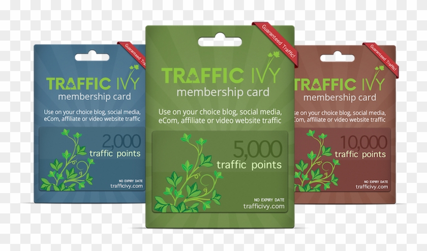 Cindy Donovan's Traffic Ivy Review - Traffic Ivy Clipart #1213955