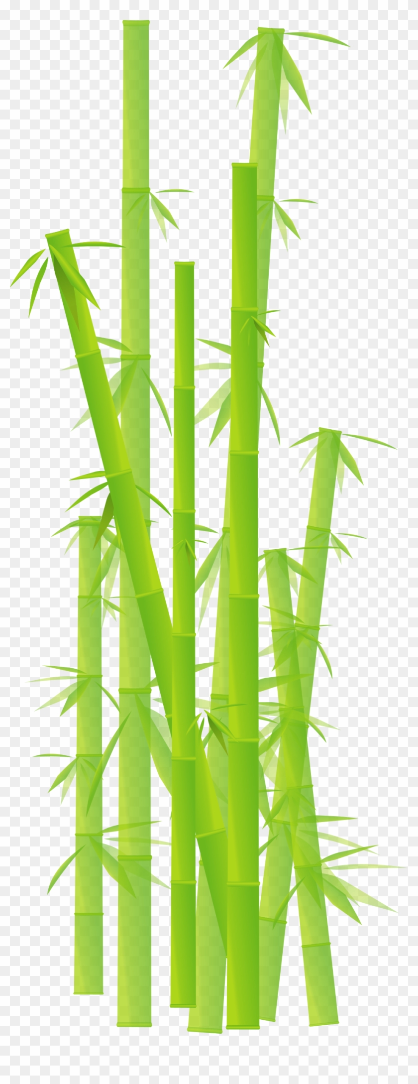 Banner Library Download Japanese Clipart Bamboo - Transparent Background Bamboo Clipart - Png Download #1214264