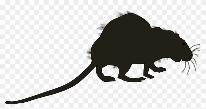 Big Image - Marsupial Clipart