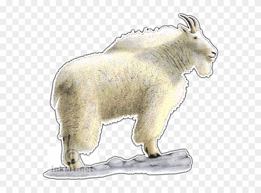 Rocky Mountain Goat Decal - Mountain Goat Clipart #1214777