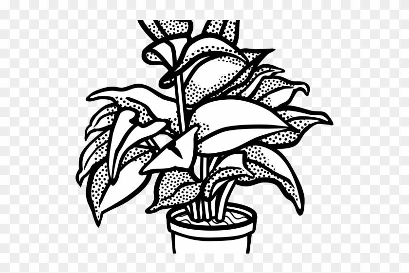 Bushes Clipart Different Plant - Plants Clip Art Black And White - Png Download #1215826