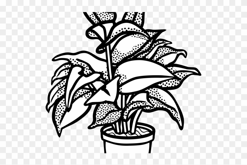 Bushes Clipart Different Plant - Plants Clip Art Black And White - Png Download