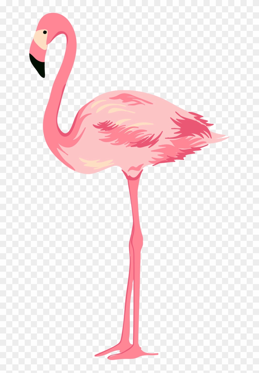 Flamingo Png Clipart #1216424