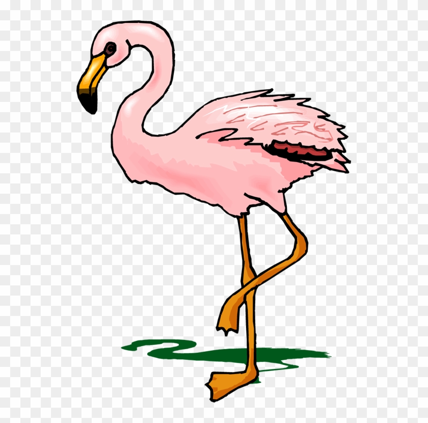 Top 84 Flamingo Clipart - Cartoon Flamingo Transparent - Png Download #1216460