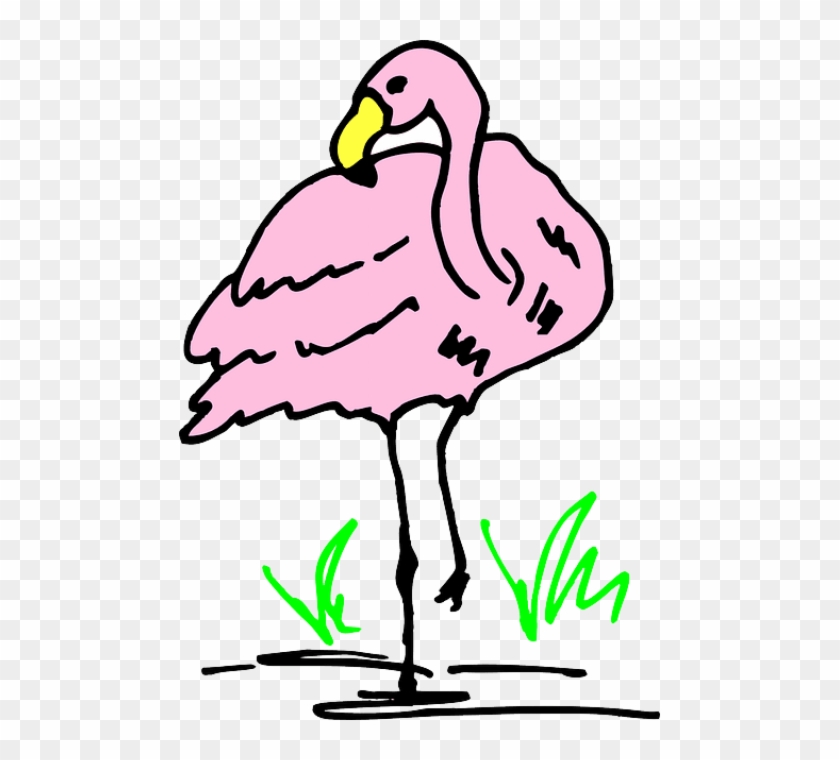 Free Png Download Flamingo Cartoon Png Images Background - Gambar Hewan Flamingo Kartun Clipart