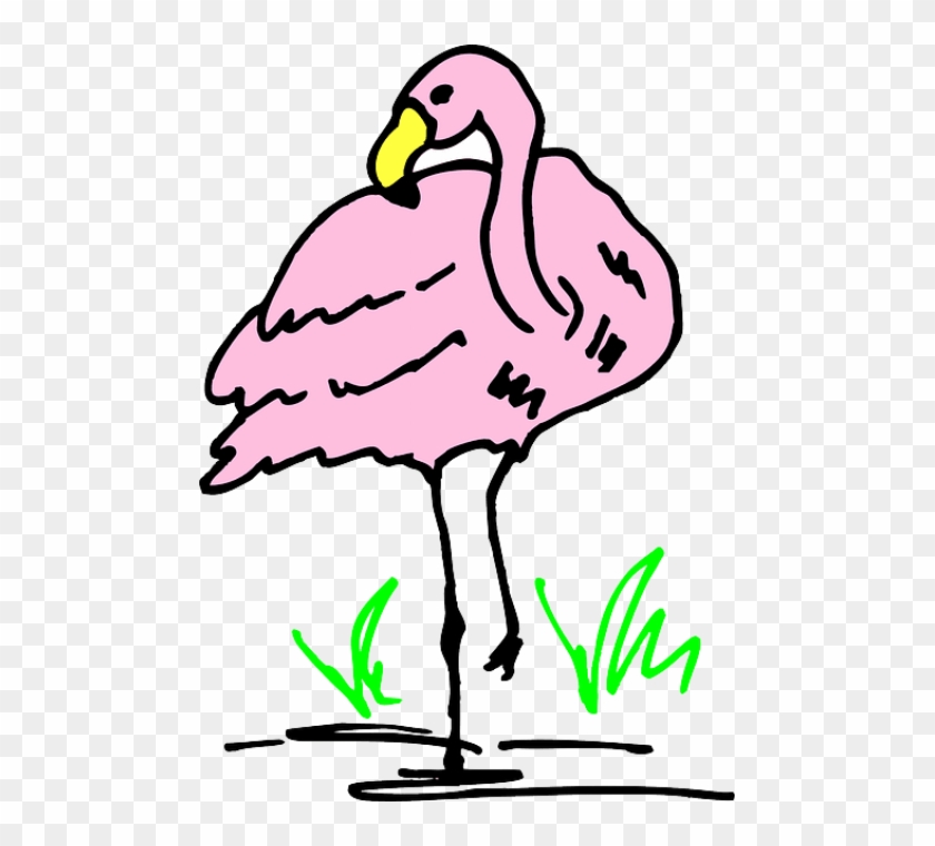 Free Png Download Flamingo Cartoon Png Images Background Free Png Download Flamingo Cartoon Png Images Background