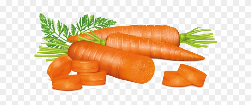 Carrots - Carrot Clipart #1217062