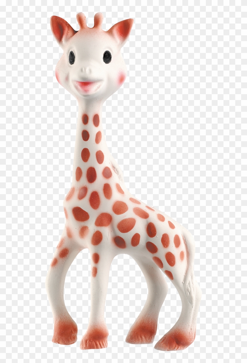 Sophie The Giraffe Hole Clipart
