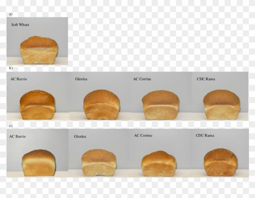 Breads Prepared From A) Soft Wheat Flour, B) Blends - Fast Food Clipart