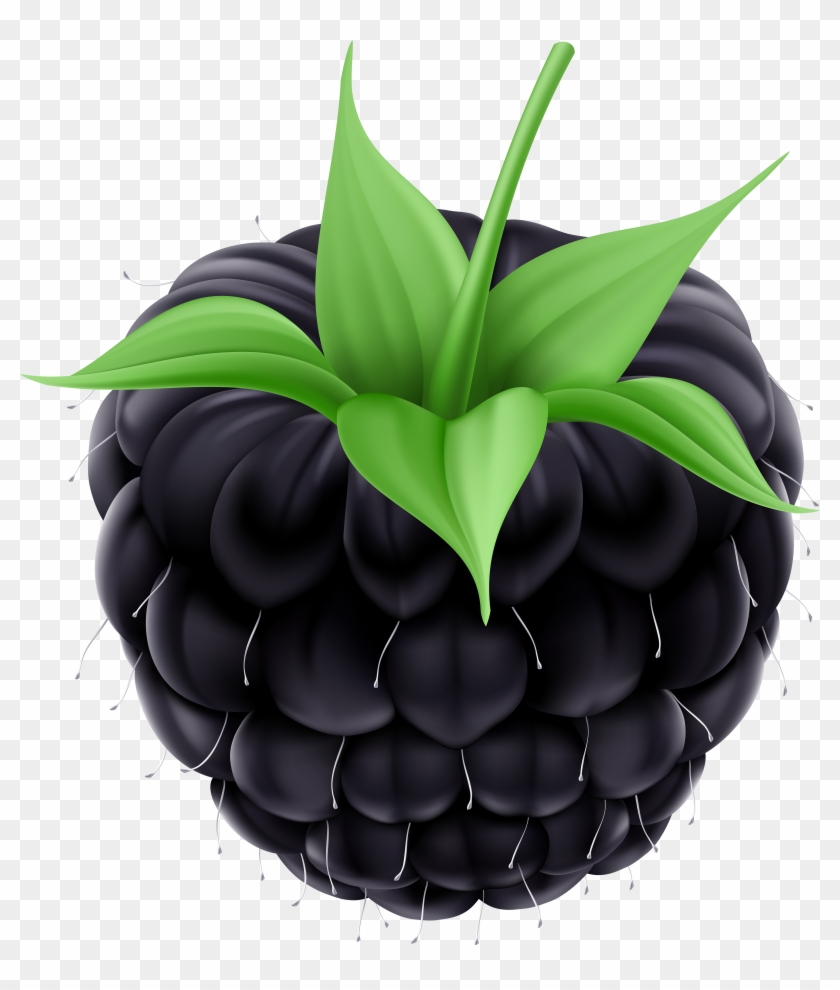Blackberry Png Clip Art Image - Amora Vetor Png Transparent Png #1217973