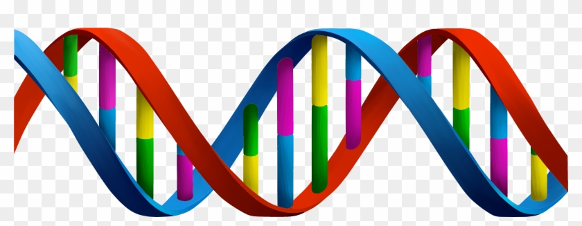 Dna Png Clipart #1218793