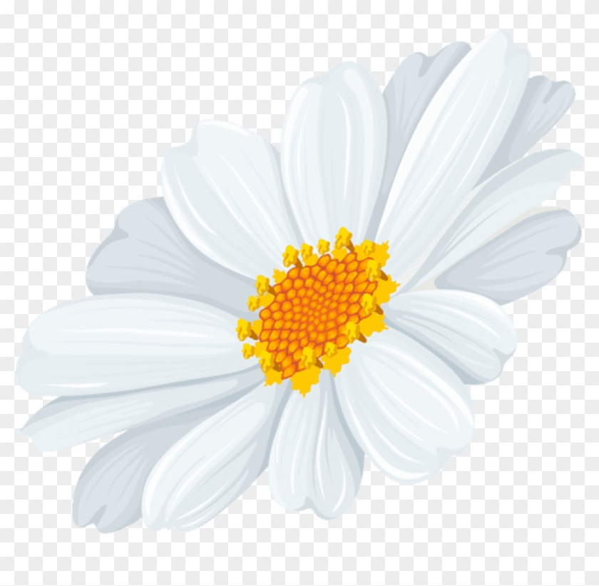 Free Png Download White Daisy Transparent Png Images - White Daisy Flowers Transparent Clipart #1219068