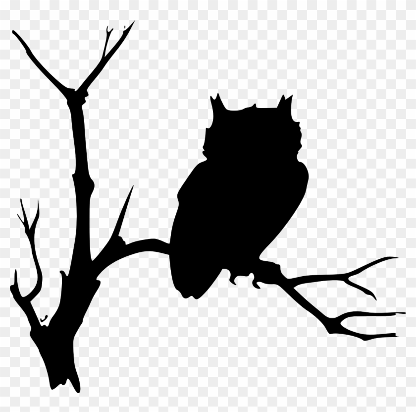 Owl Bigger Svg Clip Arts 600 X 565 Px - Png Download