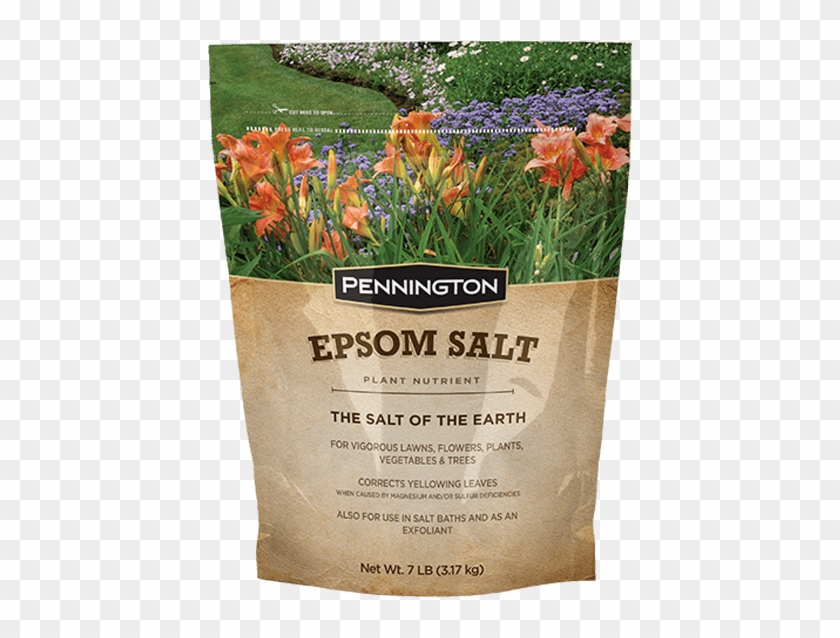 Pennington Epsom Salt Clipart #1220735