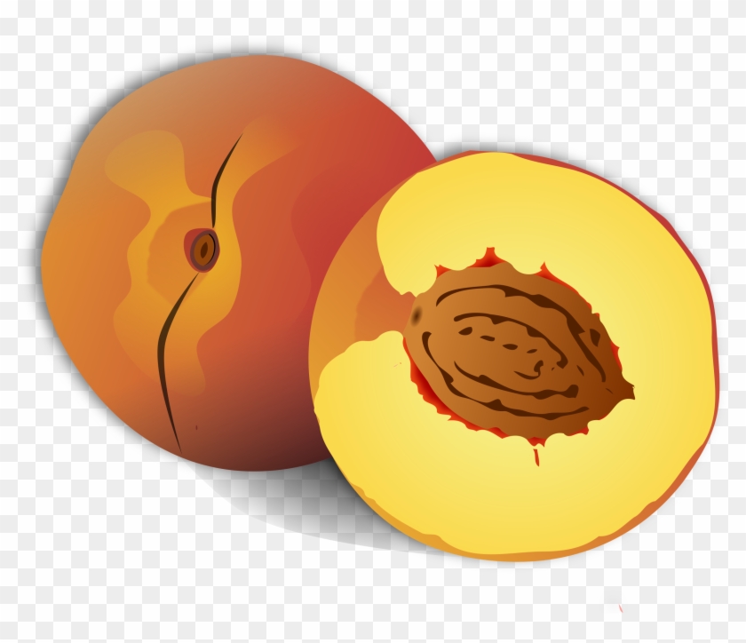 Big Image - Nectarine Clipart - Png Download #1220771