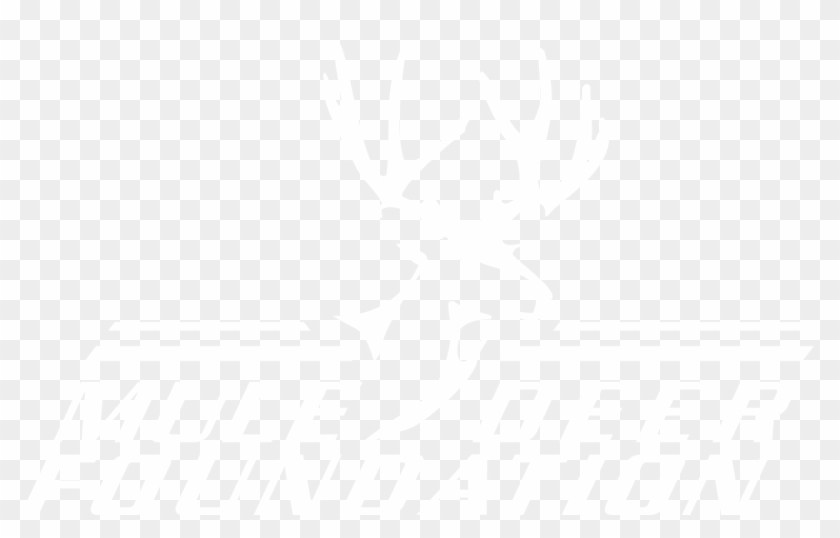 Mdf White - Twitter White Icon Png Clipart #1222403