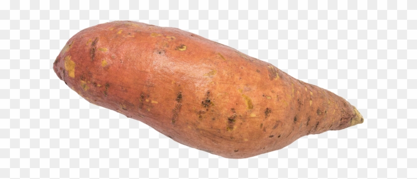 Sweet Potato Clipart #1222578