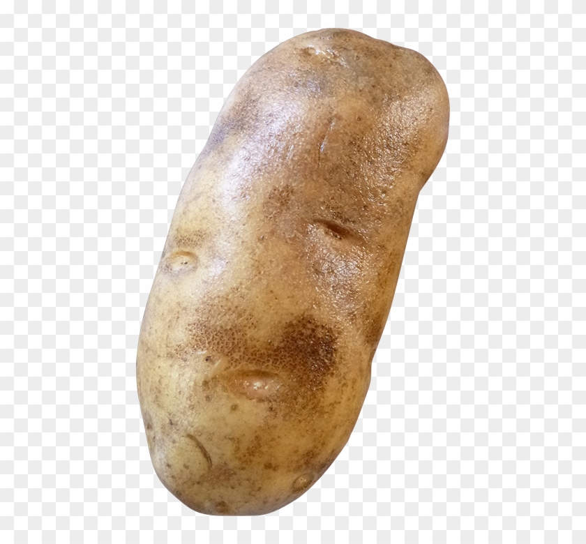 Potato Png Transparent Images - 1 Potato Png Clipart #1222671