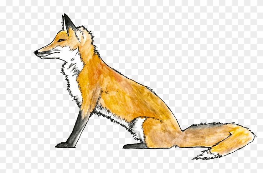 Call To Action - Red Fox Clipart