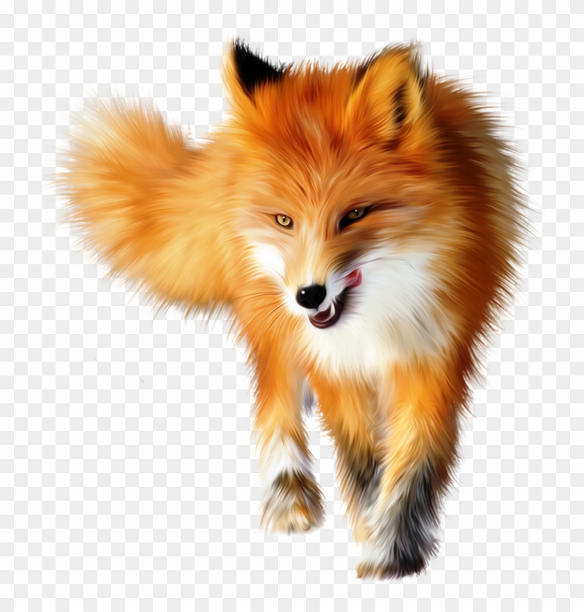 Cute Fox Pictures - Fox Animal Png Clipart
