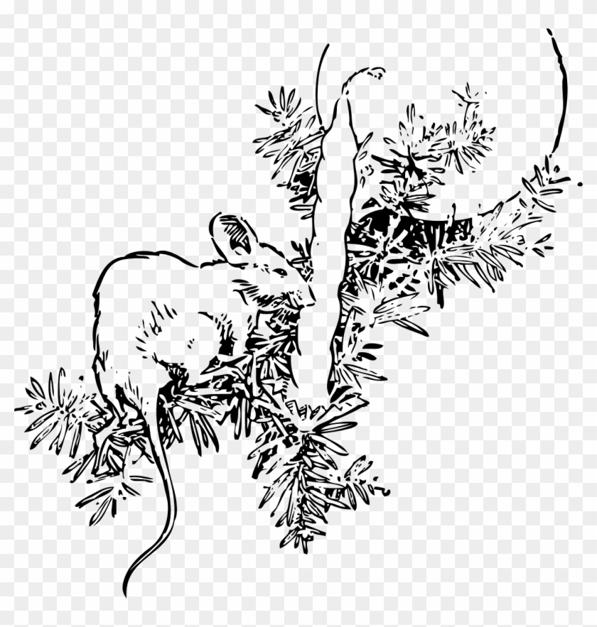 Mouse And Candle Png Clip Arts Transparent Png