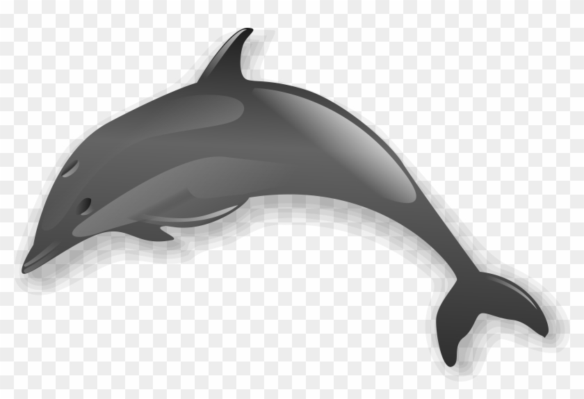 Dolphin - Dolphin Clip Art - Png Download #1223512