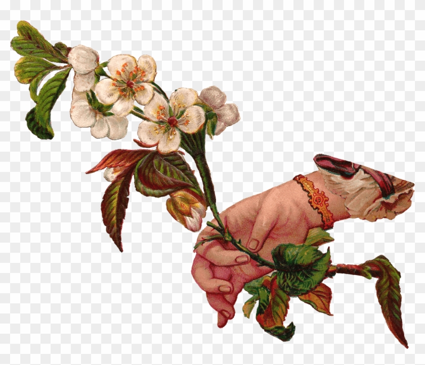 Descargar - Victorian Flower Illustration Png Clipart #1223617