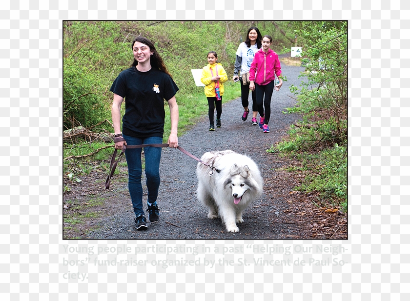 The Attleboro Spring Wildlife Sanctuary At The National - Dog Walking Clipart
