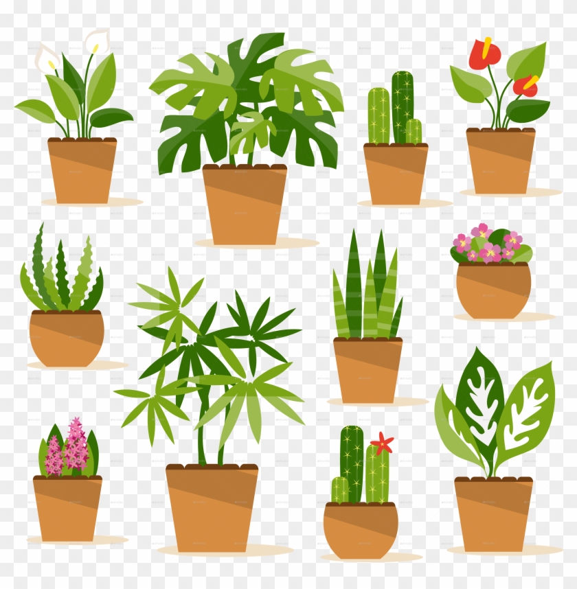 House Plants Clipart - Flower Pot Illustration - Png Download #1226415