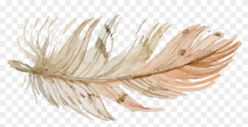 Free Hand Drawn Pretty - Hand Drawn Feathers Png Clipart