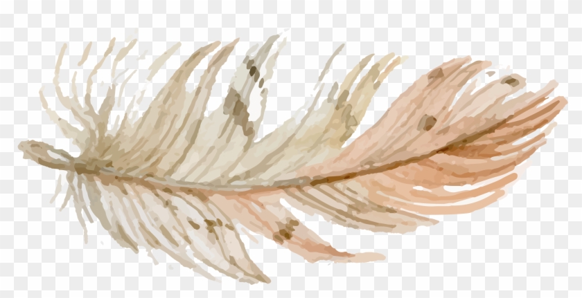 Free Hand Drawn Pretty - Hand Drawn Feathers Png Clipart #1227298