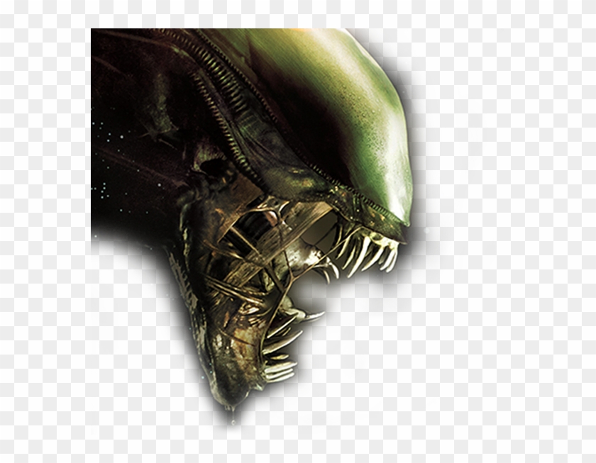 583 X 573 16 - Alien Anthology Blu Ray Clipart #1227704