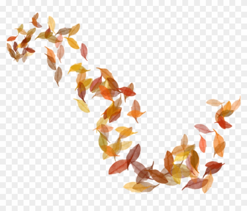 Free Png Download Transparent Fall Leaves Clipart Png - Autumn Leaves Transparent Png #1227930