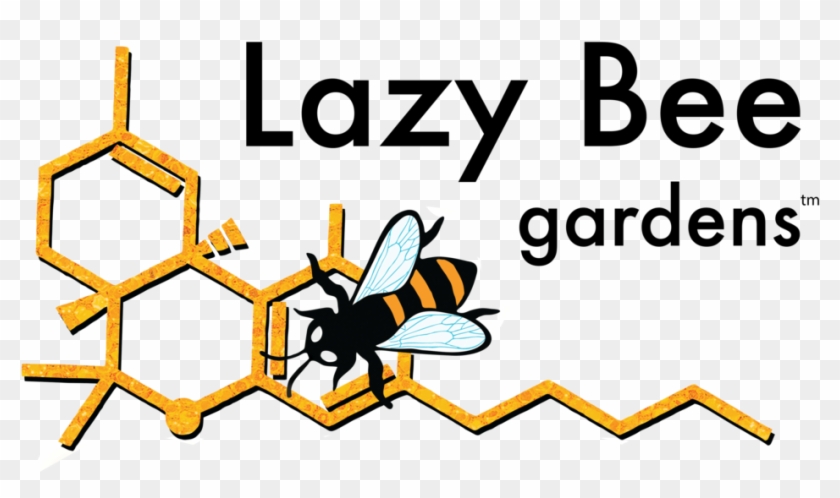 Lb Logo Orange Orange Format=1500w Clipart