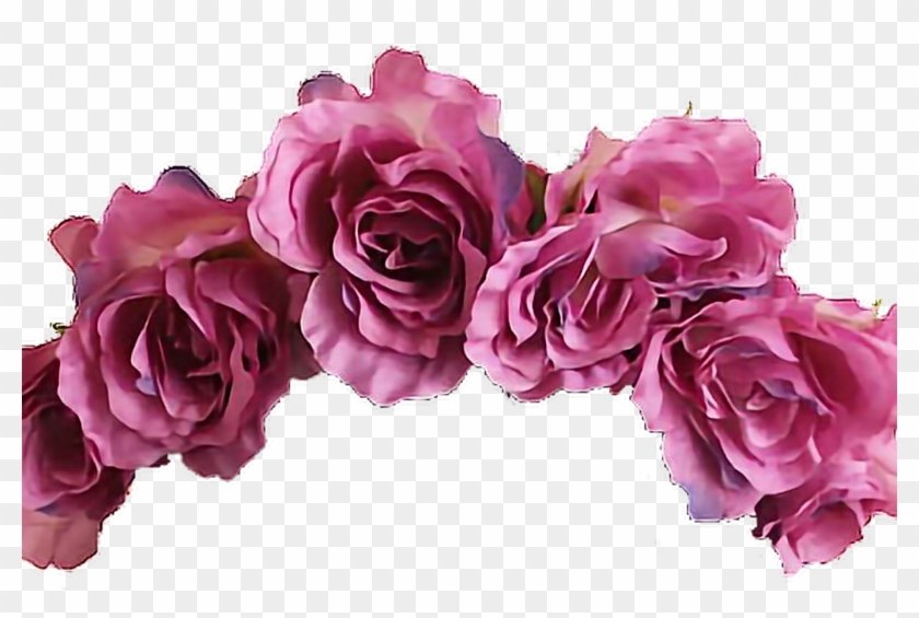 15 Flower Aesthetic Png For Free Download On Ya Webdesign - Flower Crown White Background Clipart