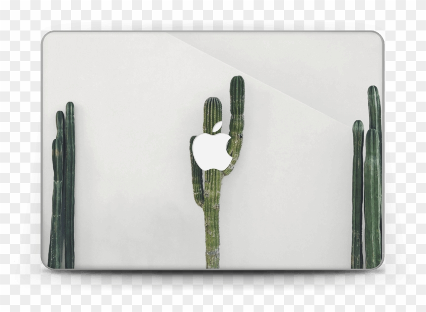 800 X 560 5 - Apple Macbook Pro Clipart #1229465