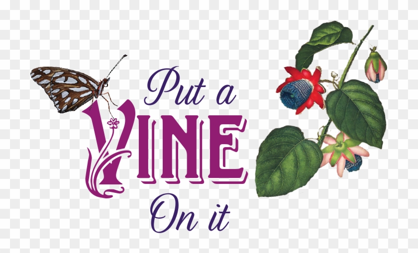 Annie S Annuals Perennials Put A On - Brush-footed Butterfly Clipart