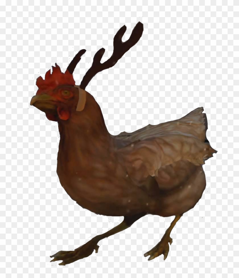 csgo chicken png chicken csgo transparent background clipart 1229995 pikpng csgo chicken png chicken csgo