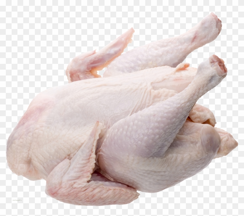 Fresh Chicken Png - Whole Chicken Png Clipart #1230050