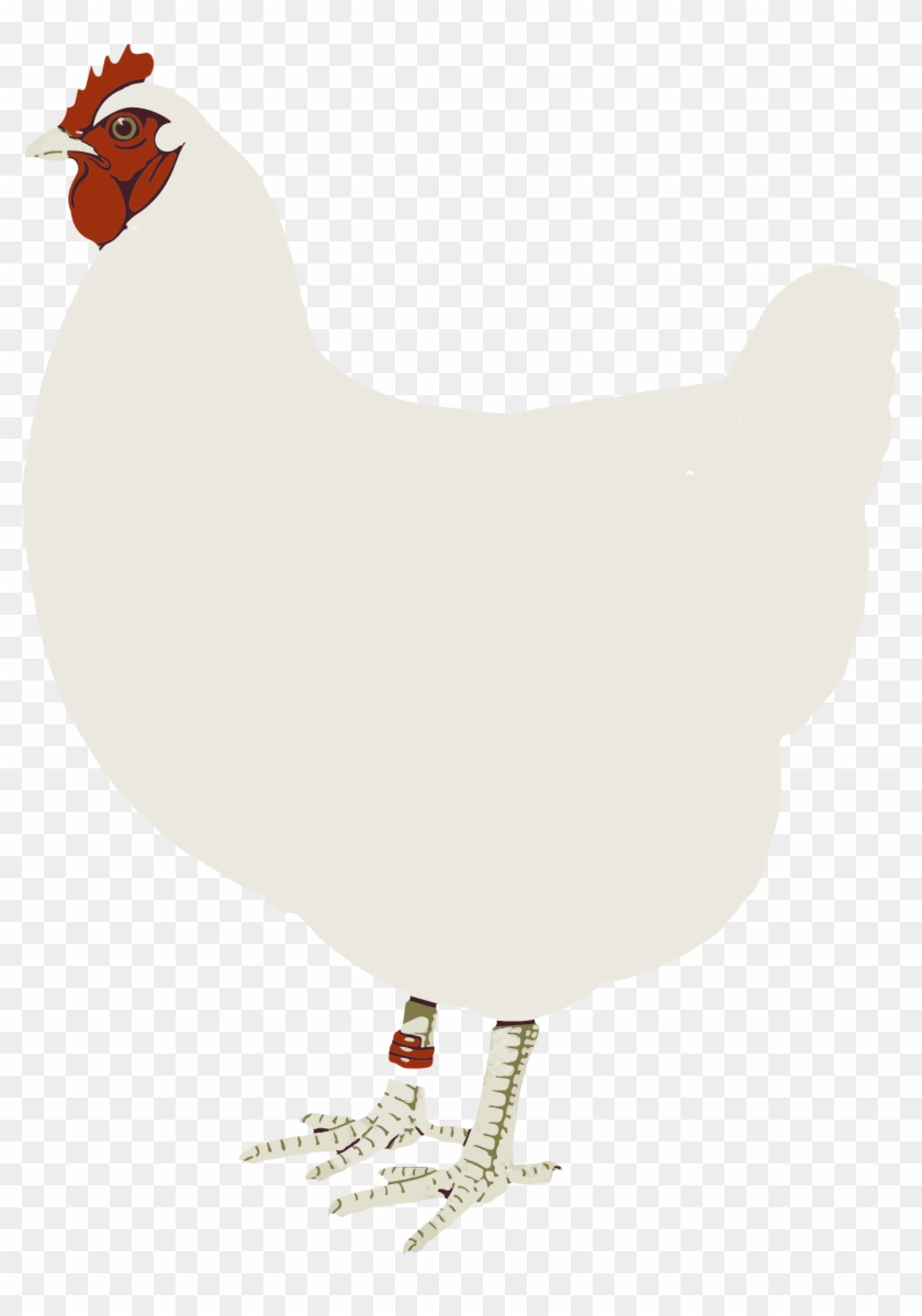 Big Image - Gallina Png Sin Fondo Clipart