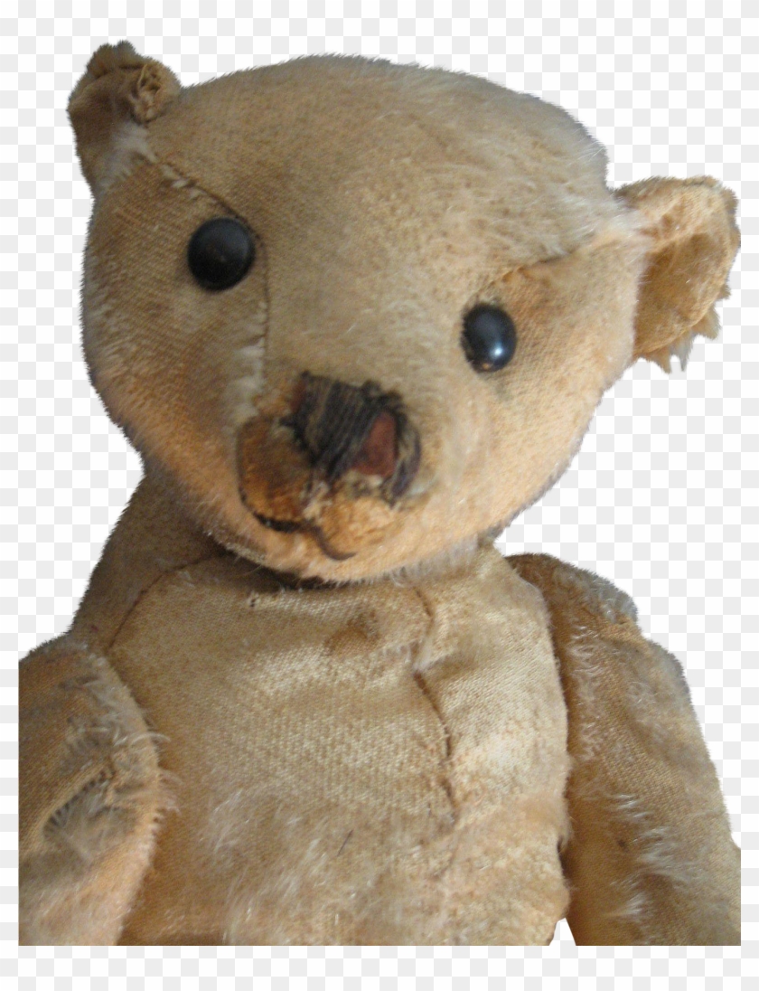 Antique 16 Beige Steiff Bear, Blank Button, Loved Clipart #1230450
