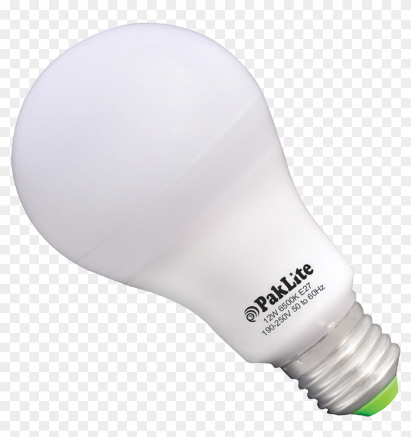 Led Bulbs - Paklite Clipart