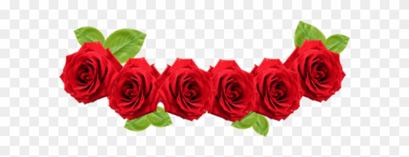 Free Png Download Transparent Flower Crown Png Images - Rose Flower Crown Png Clipart