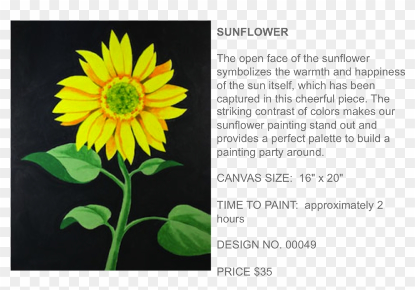Popup Paint Studio - Sunflower Clipart