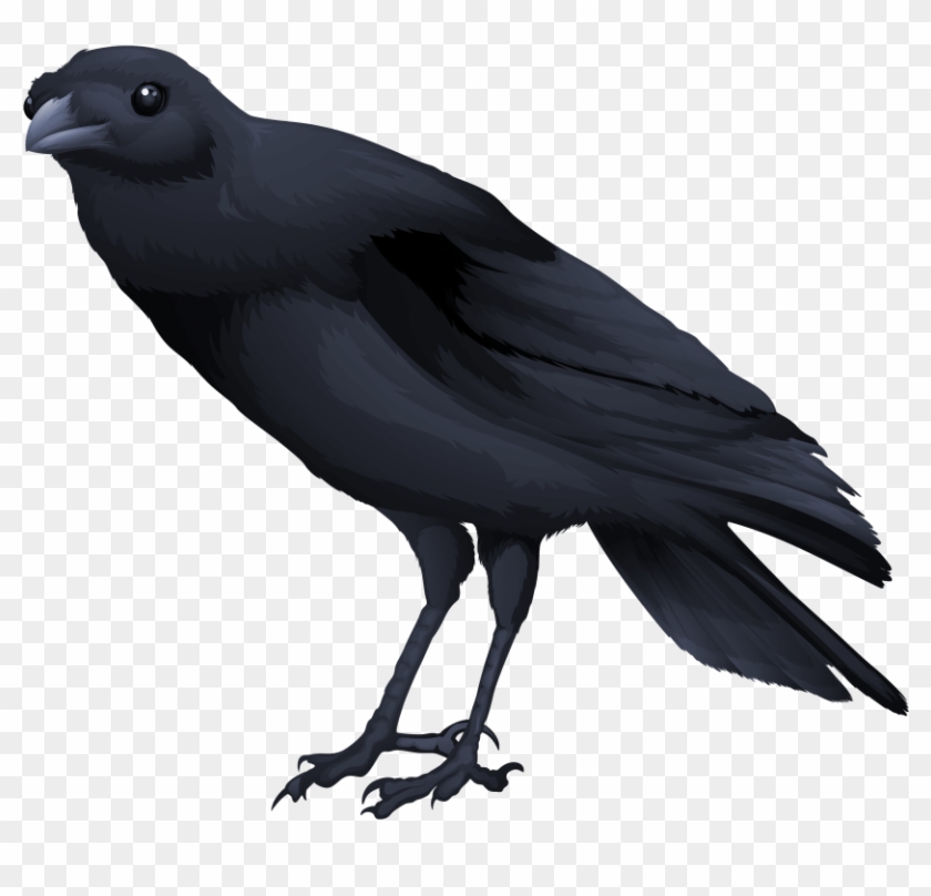 Free Png Download Birds Png Images Background Png Images - Transparent Background Raven Gif Clipart #1232002