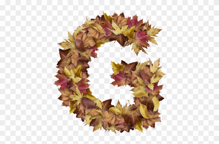 Letter G From Dry Leaves - Sweet William Clipart #1232114