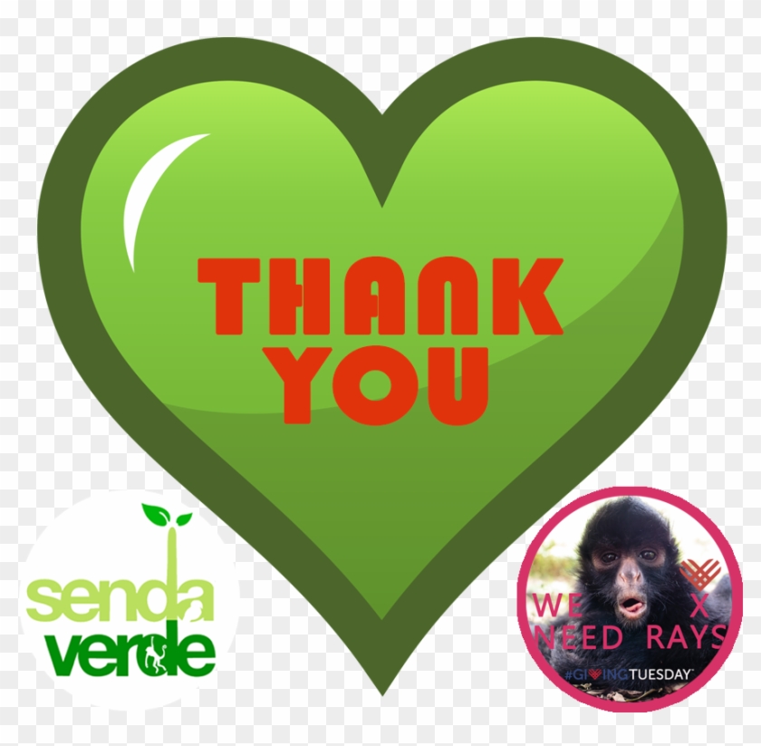 Thank You Post En - La Senda Verde Clipart #1232288