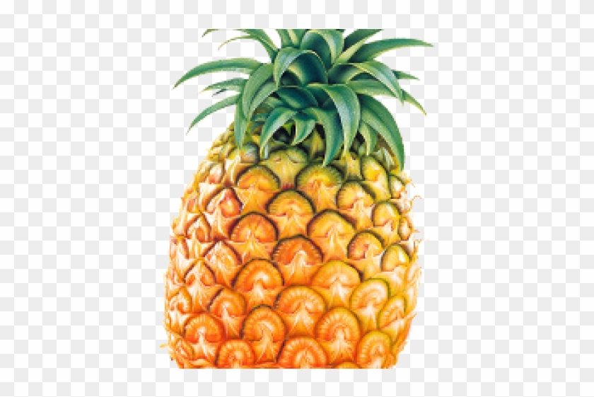 Pine Apple Png Clipart