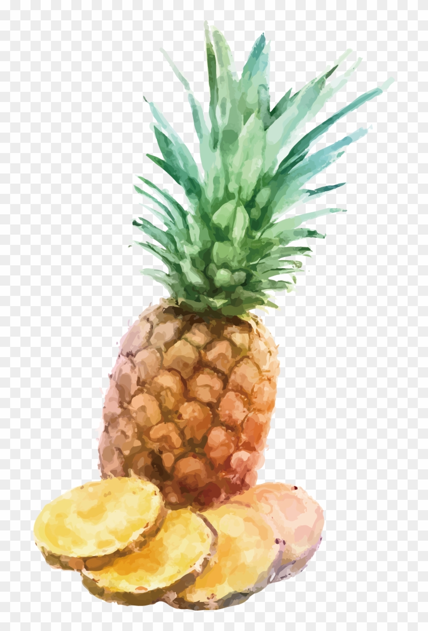 Fresh Pineapple Slices - Watercolor Painting Clipart #1232651